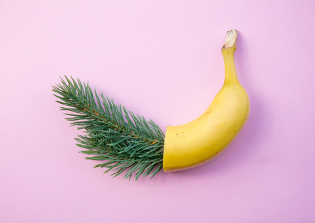 Pine branch and half of banana on pink background. Christmas holiday conceptの写真素材