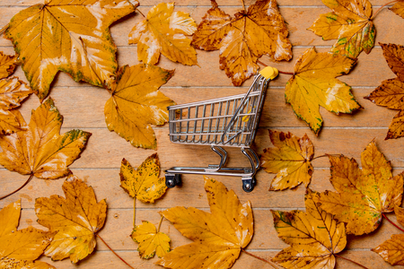 little vintage cart with maple leaves on wooden table. Above viewの写真素材