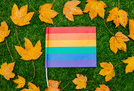 Golden autumn maple leaves and LGBT flag on green grass. Above viewの写真素材