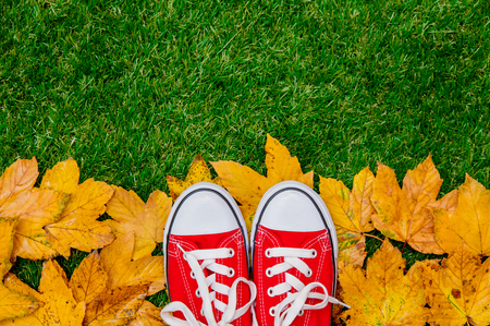 Golden autumn maple leaves and gumshoes on green grass. Above viewの写真素材