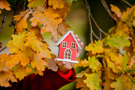 Female's hand holding house toy near oak branch in autumn season parkの写真素材