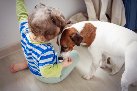 Little baby boy with dog at home.の写真素材
