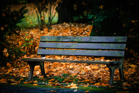 Old bench in the park of Wroclaw, Polandの写真素材
