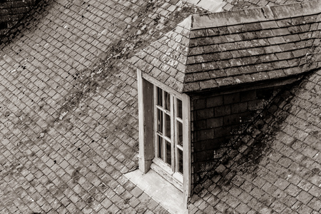 Photo of beautiful window on the roof covered with yellow moss in close-up. Image in black and white color styleの写真素材