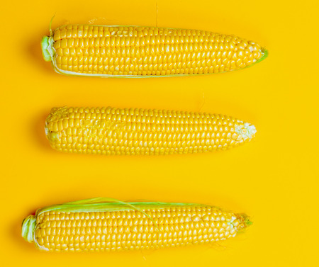 Above view at three fresh corns on yellow background