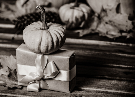 Leaves and pumpkin with Halloween gift box on background. Autumn season image composition. Image in black and white color styleの写真素材
