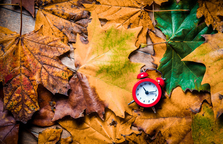 Vintage alarm clock and maple leaves on wooden backgroundの写真素材