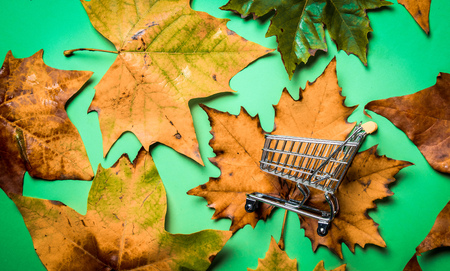 Maple leaves and shopping cart on green background. Above point of viewの写真素材