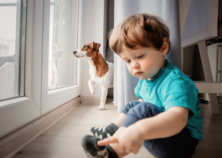 Little toddler boy play at home with his jack russell terrier dog.の写真素材