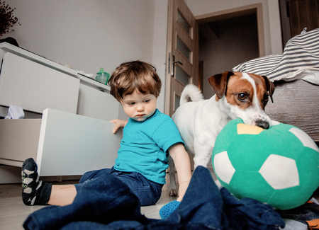 Little toddler boy play at home with his jack russell terrier dog.の写真素材