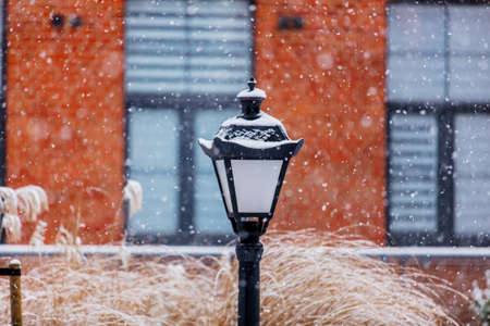 Vintage lamp in snow white snowfall with lofts on backgroundの写真素材