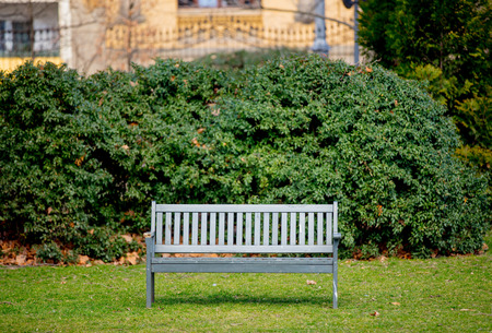Gray bench in French style in a greenpark. Spring time season