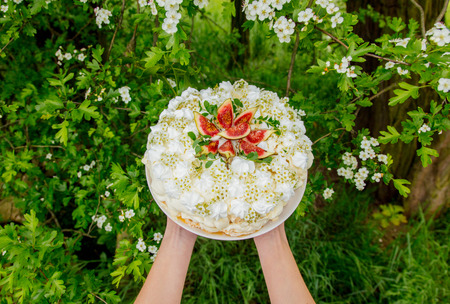 Woman holding a cream pie at outdoor in spring timeの写真素材