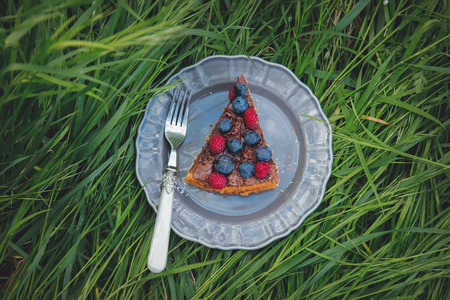 Chocolate covered blueberry and raspberry tart on a grassの写真素材