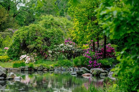 Public park with blossom bushes and river in springtimeの写真素材