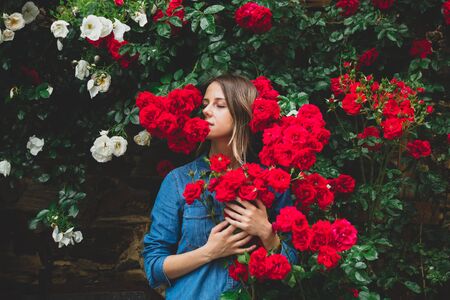 Young woman near the bush of red roses in a garden. Side viewの写真素材