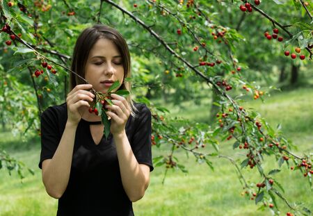 Young girl in a black dress gathering a harvest of cherry tree. Side viewの写真素材
