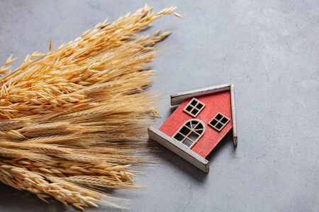 Golden wheat spikelets and toy house on gray backgroundの写真素材