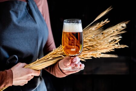 brewer in apron holds glass of beer and wheat spikeletsの写真素材