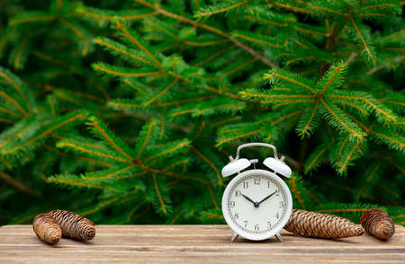 Little teddy bear toy on wooden table with spruce branches on background