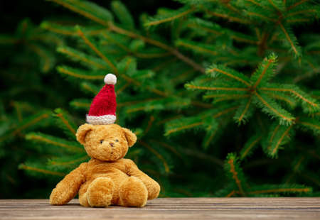 Little teddy bear toy on wooden table with spruce branches on backgroundの写真素材