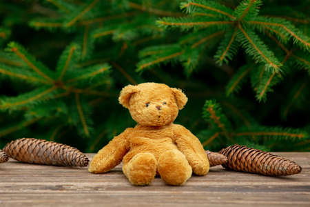 Little teddy bear toy on wooden table with spruce branches on background