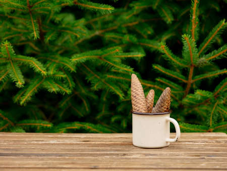 cup of coffee and teddy bear on wooden table with spruce branches on backgroundの写真素材
