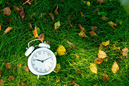 White alarm clock with autumn leaves on green grassの写真素材