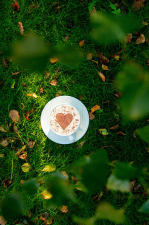 Cup of coffee with heart shape on green grass with autumn leavesの写真素材
