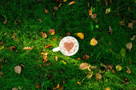 Cup of coffee with heart shape on green grass with autumn leavesの写真素材