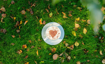 Cup of coffee with heart shape on green grass with autumn leavesの写真素材