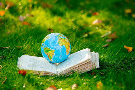 Earth globe on book on green grass with autumn leavesの写真素材