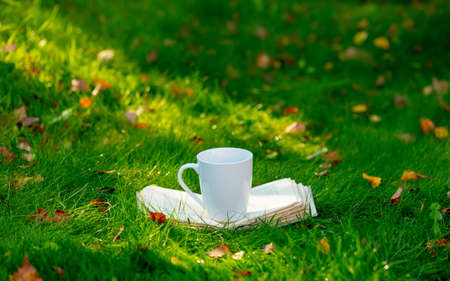 Cup of coffee on a book in a autumn gardenの写真素材