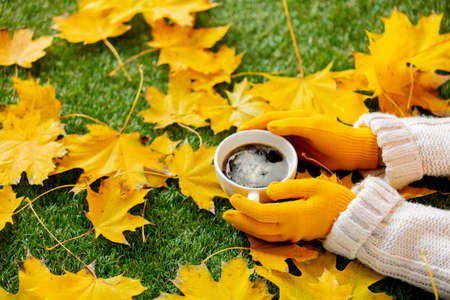 woman hands hold a cup of coffee next to yellow maple leaves on a green grass