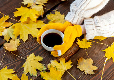 Female hands in yellow gloves hold cup of coffee next to maple leaves on wooden table
