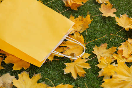 Shopping bag with maple leaves on green grassの写真素材