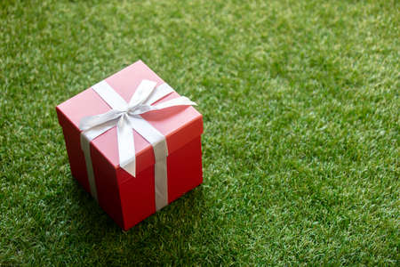 Gift box with a bow on green grass. Povの写真素材