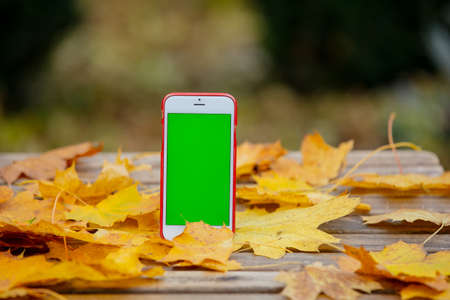 Mobile phone with green screen next to autumn leaves on a table