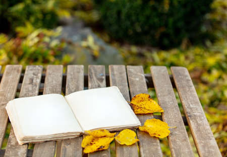 old book on a table in the garden in autumn