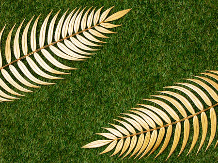 Golden palm branches on green grass. Above viewの写真素材