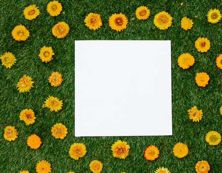 Yellow dandelions and mockup board on green grass. Above view