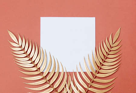 Golden palm branches and sqaure board on pink background.の写真素材