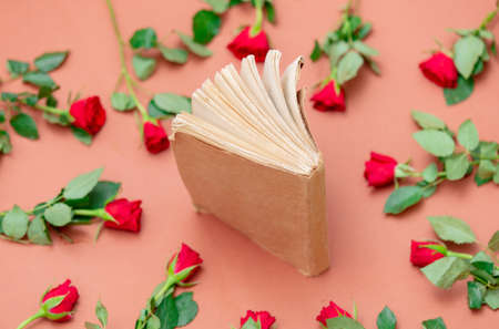 Book and red roses around on pink backgroundの写真素材
