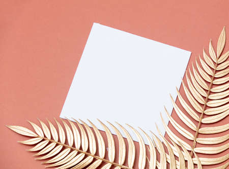 Golden palm branches and sqaure board on pink background.の写真素材