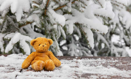 Teddy bear toy in a snow on wooden table next to pine treeの写真素材