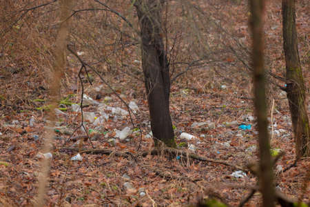 plastic garbage thrown out in the forest near trees, Poland