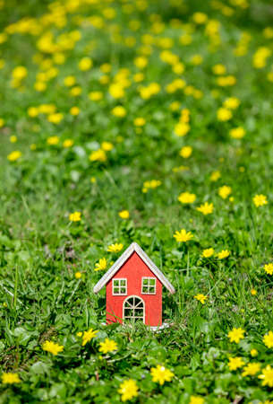 Little house on meadow with yellow flowers in spring timeの写真素材