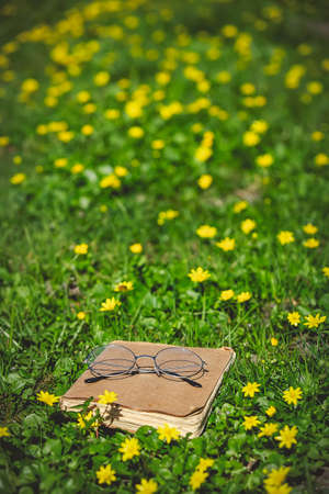 Old book with glasses for reading on yellow flowers meadowの写真素材