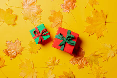 Holiday gift boxes and maple leaves around on yellow background. Top viewの写真素材