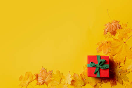 Holiday gift box and maple leaves around on yellow background. Top viewの写真素材